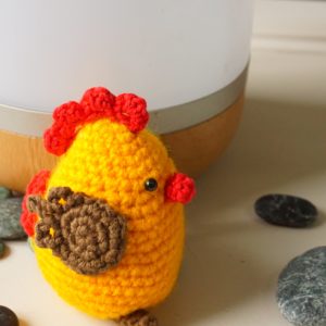 Poulet jaune à adopter