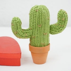 cactus mexicain